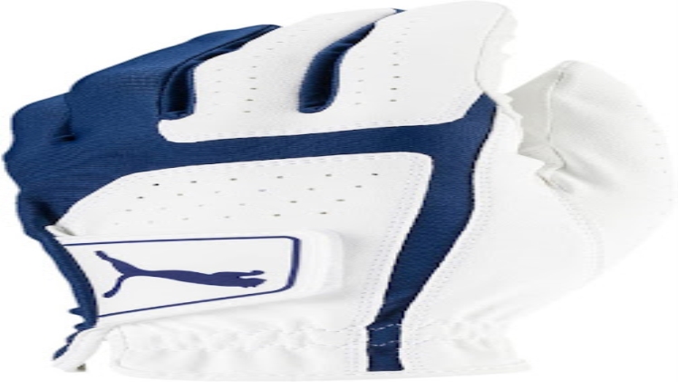 2 Best Golf Gloves (Review 2023) – Scooptimes