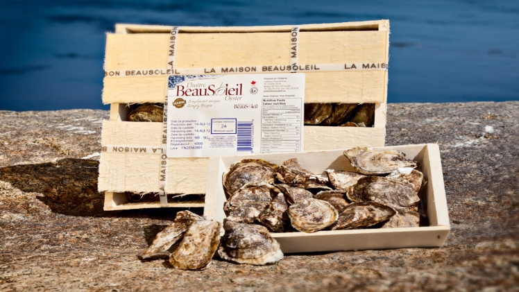 top-3-oyster-varieties-in-seafood-festival-nj-2023-scooptimes-1